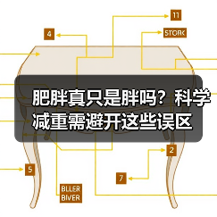 肥胖真只是胖吗？科学减重需避开这些误区（图4）