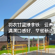 羽衣甘蓝绿拿铁：营养满满口感好，早餐新选择！（图4）