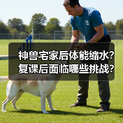 神兽宅家后体能缩水？复课后面临哪些挑战？（图4）