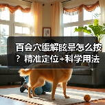 百会穴缓解眩晕怎么按？精准定位+科学用法指南（图1）
