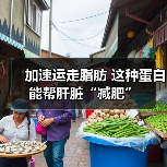 加速运走脂肪 这种蛋白能帮肝脏“减肥”（图1）