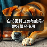 白芍缓解口臭有效吗？需分情况使用（图4）