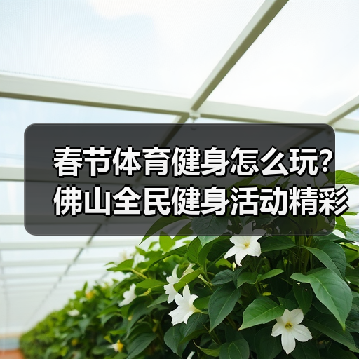 春节体育健身怎么玩？佛山全民健身活动精彩纷呈（图1）