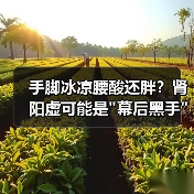 手脚冰凉腰酸还胖？肾阳虚可能是