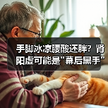 手脚冰凉腰酸还胖？肾阳虚可能是