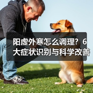 阳虚外寒怎么调理？6大症状识别与科学改善方案（图3）