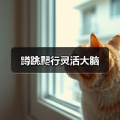 蹲跳爬行灵活大脑（图2）