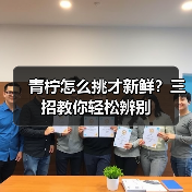 青柠怎么挑才新鲜？三招教你轻松辨别（图2）