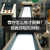 青柠怎么挑才新鲜？三招教你轻松辨别（图4）