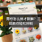 青柠怎么挑才新鲜？三招教你轻松辨别（图3）
