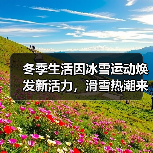 冬季生活因冰雪运动焕发新活力，滑雪热潮来袭（图1）
