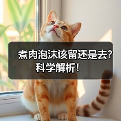 煮肉泡沫该留还是去？科学解析！（图2）