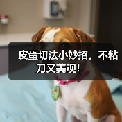 皮蛋切法小妙招，不粘刀又美观！（图1）