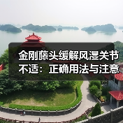金刚藤头缓解风湿关节不适：正确用法与注意事项（图2）