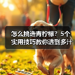 怎么挑选青柠檬？5个实用技巧教你选到多汁好果（图1）