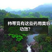 柿蒂竟有这些药用美容功效？（图3）