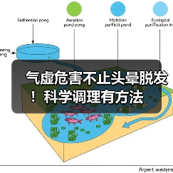 气虚危害不止头晕脱发！科学调理有方法（图1）
