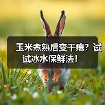 玉米煮熟后变干瘪？试试冰水保鲜法！（图4）