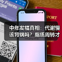 中年发福真相：代谢慢该背锅吗？脂质周转才是关键
