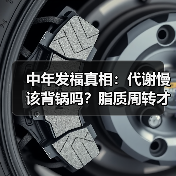 中年发福真相：代谢慢该背锅吗？脂质周转才是关键（图4）