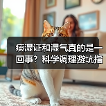 痰湿证和湿气真的是一回事？科学调理避坑指南（图1）