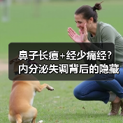 鼻子长痘+经少痛经？内分泌失调背后的隐藏真相（图1）