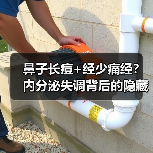 鼻子长痘+经少痛经？内分泌失调背后的隐藏真相（图2）