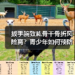扳手腕致肱骨干骨折风险高？青少年如何预防？（图3）