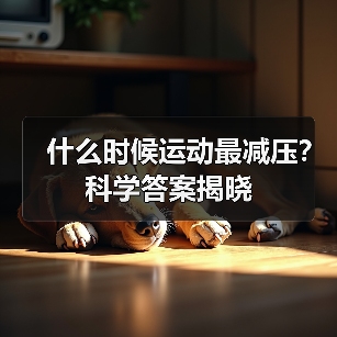 什么时候运动最减压？科学答案揭晓（图4）