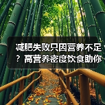 减肥失败只因营养不足？高营养密度饮食助你长久瘦