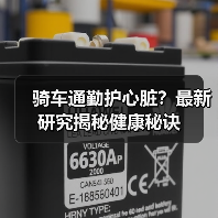 骑车通勤护心脏？最新研究揭秘健康秘诀