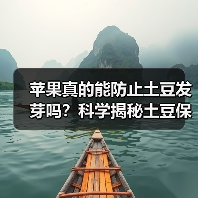 苹果真的能防止土豆发芽吗？科学揭秘土豆保鲜妙招（图4）
