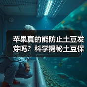 苹果真的能防止土豆发芽吗？科学揭秘土豆保鲜妙招（图2）