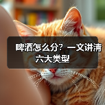 啤酒怎么分？一文讲清六大类型（图2）