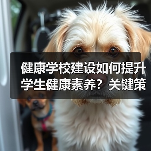 健康学校建设如何提升学生健康素养？关键策略解析（图4）