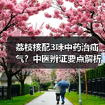 荔枝核配3味中药治疝气？中医辨证要点解析