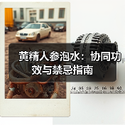 黄精人参泡水：协同功效与禁忌指南