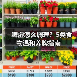 脾虚怎么调理？5类食物温和养脾指南