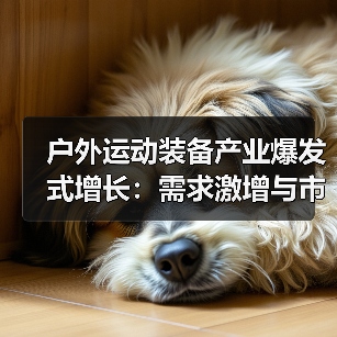 户外运动装备产业爆发式增长：需求激增与市场机遇（图2）