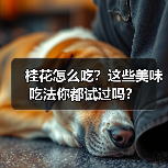 桂花怎么吃？这些美味吃法你都试过吗？（图2）