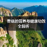 香菇的营养与健康功效全解析（图2）