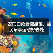 家门口免费健身馆，居民乐享运动好去处（图4）