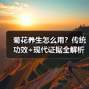 菊花养生怎么用？传统功效+现代证据全解析（图4）