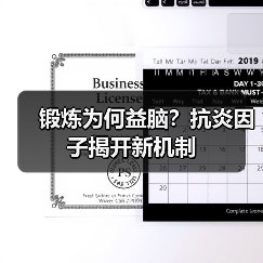 锻炼为何益脑？抗炎因子揭开新机制
