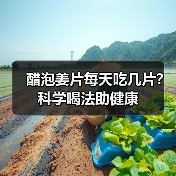 醋泡姜片每天吃几片？科学喝法助健康（图4）
