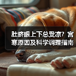 肚脐眼上下总受凉？宫寒原因及科学调理指南（图4）