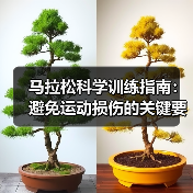 马拉松科学训练指南：避免运动损伤的关键要点（图2）