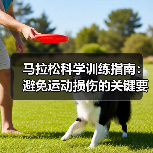 马拉松科学训练指南：避免运动损伤的关键要点（图3）