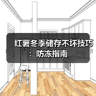 红薯冬季储存不坏技巧：防冻指南（图2）