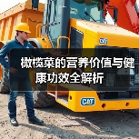 橄榄菜的营养价值与健康功效全解析